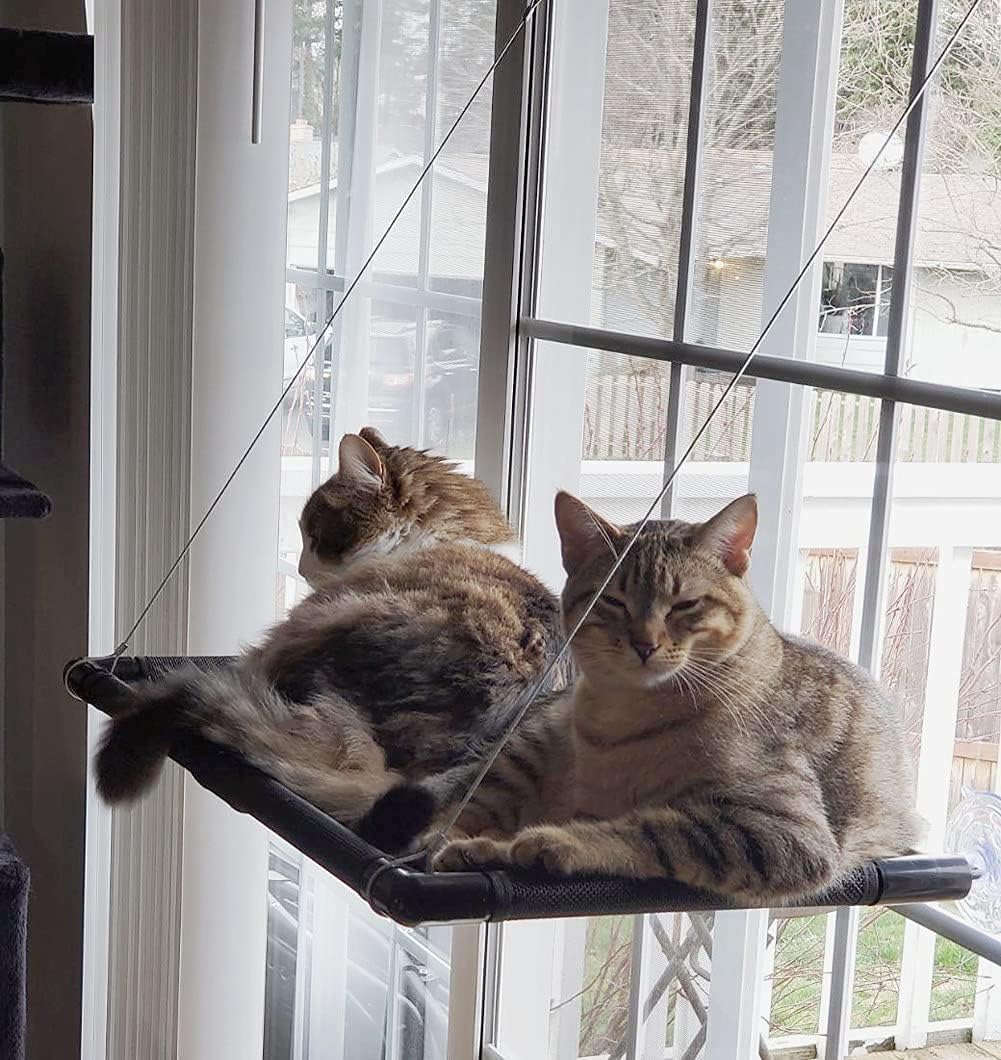 Dracarys Katzen-Hängematte Fenster